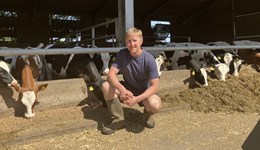 Make smart choices for better breeding in your dairy herd